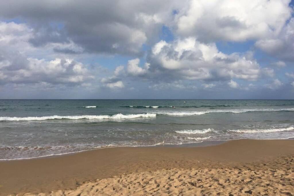 Beach Dream Apartment La Mata  Eksteriør bilde